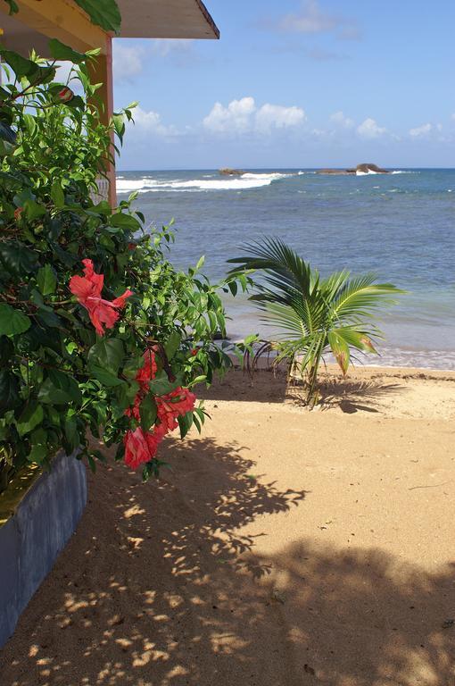 Veranda View Guesthouse Calibishie Exterior foto